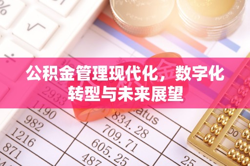涧西公积金管理现代化，数字化转型与未来展望
