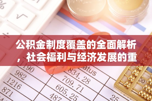 涧西公积金制度覆盖的全面解析，社会福利与经济发展的重要纽带