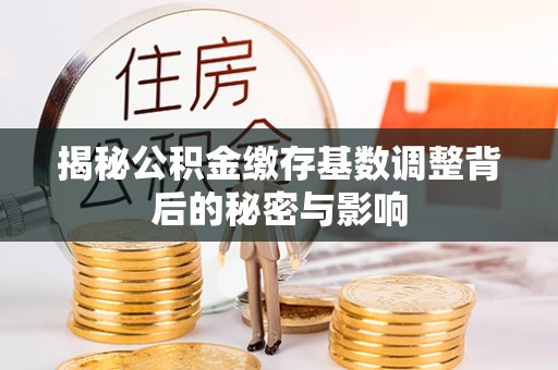 涧西揭秘公积金缴存基数调整背后的秘密与影响