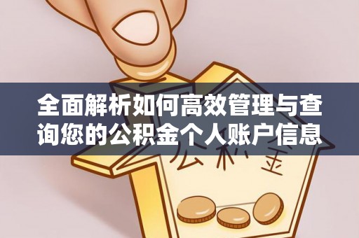 涧西全面解析如何高效管理与查询您的公积金个人账户信息