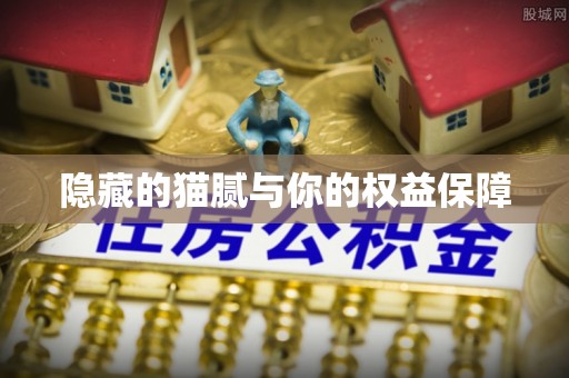 涧西隐藏的猫腻与你的权益保障