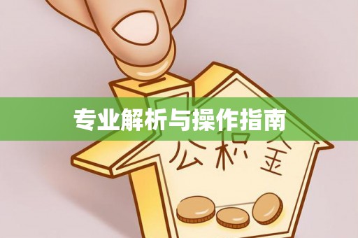 涧西专业解析与操作指南