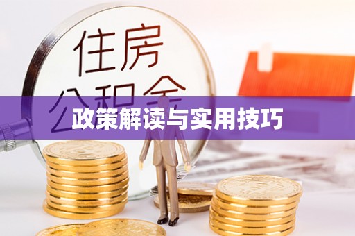 涧西政策解读与实用技巧