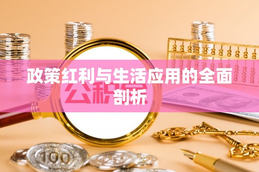 涧西政策红利与生活应用的全面剖析